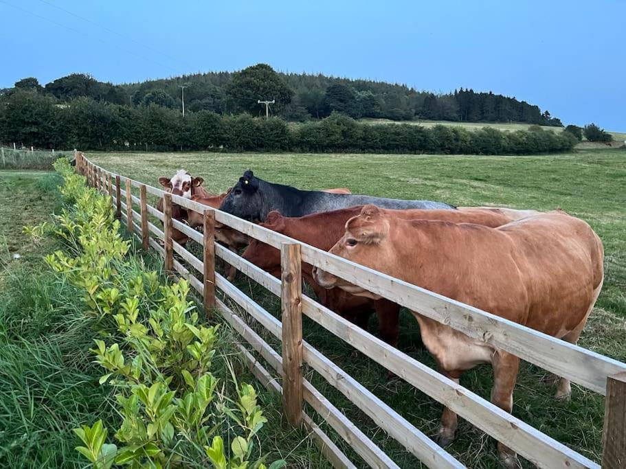 Foxhall Farm Thirsk Exterior foto